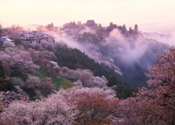 Condé Nast Traveler