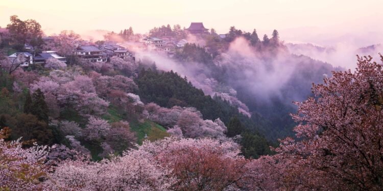 Condé Nast Traveler