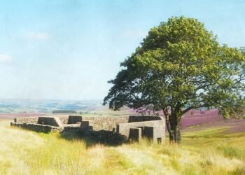 Condé Nast Traveler