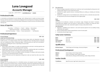 Example of a good CV for a UK professional.