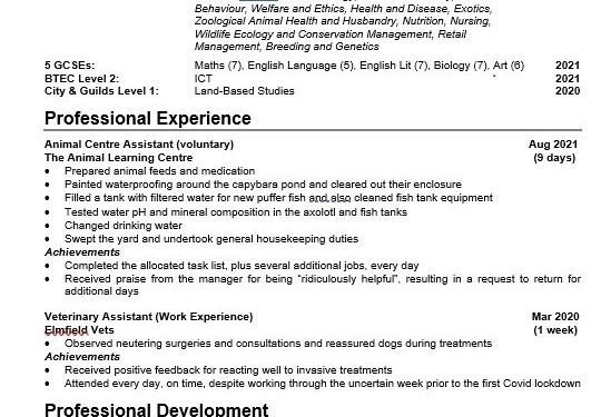 An example of a CV for someone with no experience.