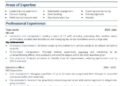 management CV example
