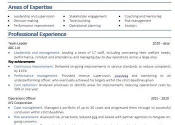 management CV example