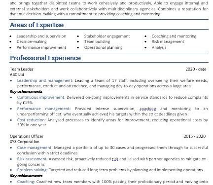 management CV example