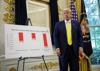 Jobs and CPI reports are not being politically manipulated, government’s statistics chief says