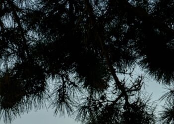 Just Back From: A Korean Honeymoon in Seoul and Jeju