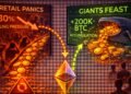 Retail Panics, Giants Feast: Whales Accumulate 200K Bitcoin Despite Selling Pressure