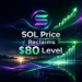 SOL USD Reclaims $80 as Network Transaction Activity Hits Record High
