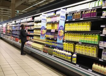 South Africa inflation eases in January, expected to remain subdued