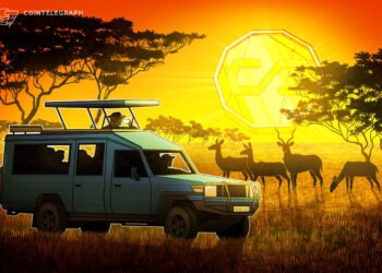 Stablecoin Conversion Costs Highest in Africa, Data Shows