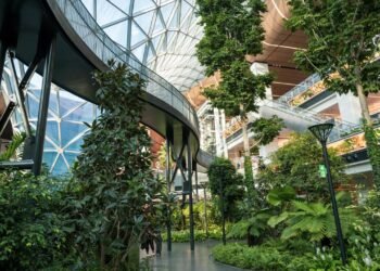 The Best Places to Eat at Doha's Hamad International Airport