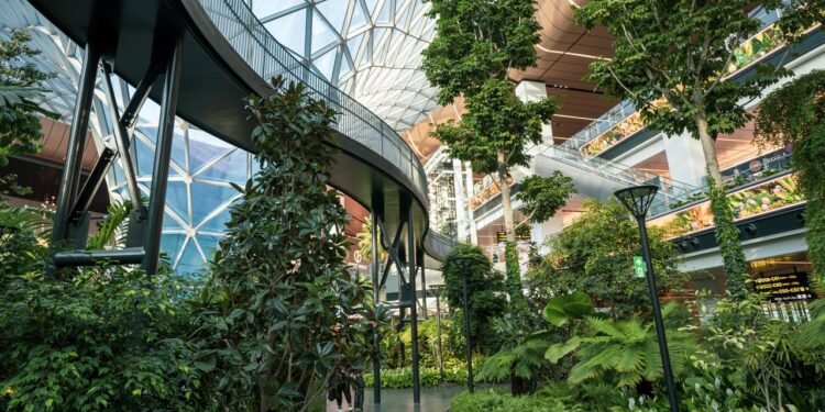 The Best Places to Eat at Doha's Hamad International Airport