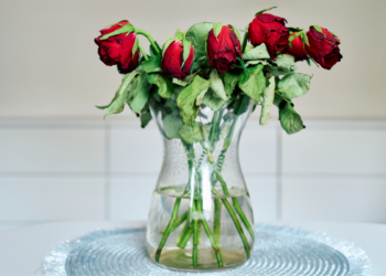 The Best Valentine’s Day Gifts That Aren’t Flowers