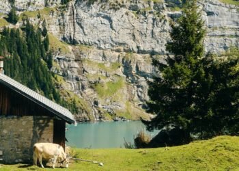 Condé Nast Traveler