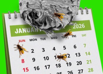 The labor market was bad last year. Will investors get stung by a poor January jobs report, too?