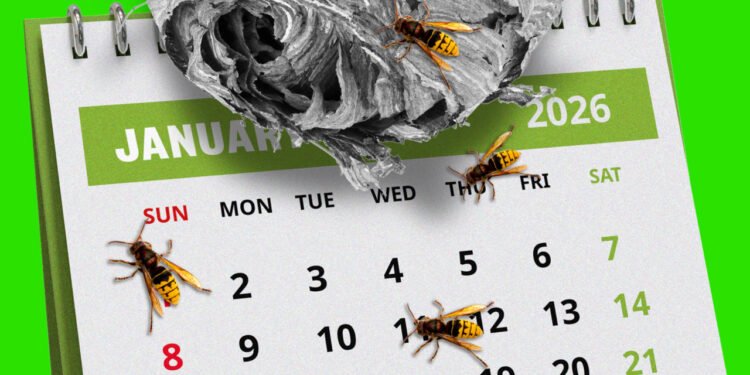 The labor market was bad last year. Will investors get stung by a poor January jobs report, too?