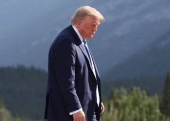 Trump tariffs blocked by Supreme Court ruling