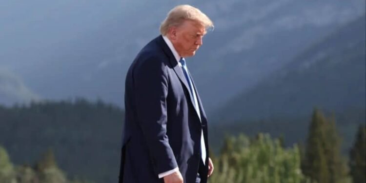 Trump tariffs blocked by Supreme Court ruling