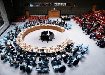 US plans initial payment towards billions owed to UN, envoy Waltz says