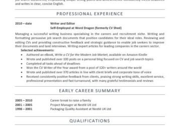 A screenshot of a good CV layout