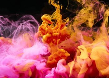 What should my CV look like?