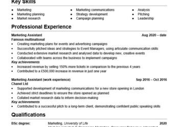 Example of a reverse chronological CV