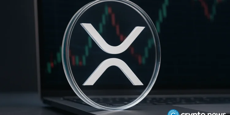 start of a rally or a dead-cat bounce?