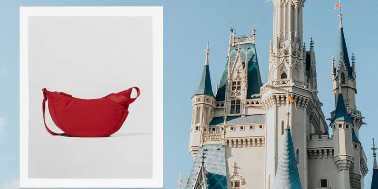 9 Best Bags for Disney, According to a Theme Park Reporter