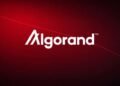 Algorand Foundation cuts 25% of staff as macro pressure and crypto slump weigh on operations