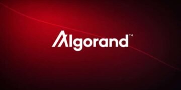 Algorand Foundation cuts 25% of staff as macro pressure and crypto slump weigh on operations