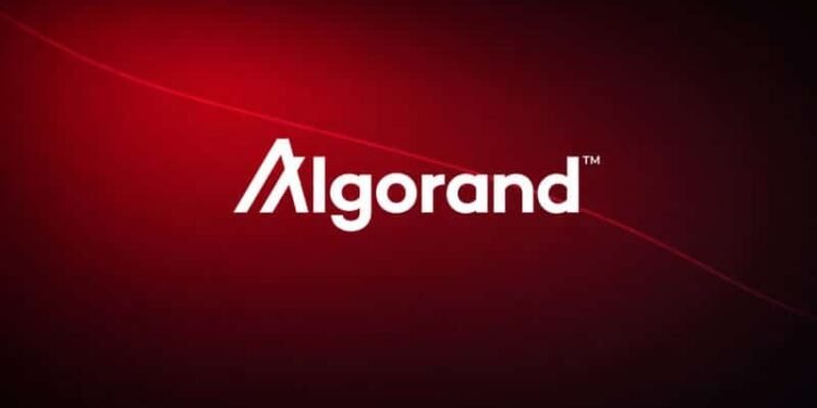 Algorand Foundation cuts 25% of staff as macro pressure and crypto slump weigh on operations
