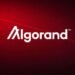 Algorand Foundation cuts 25% of staff as macro pressure and crypto slump weigh on operations