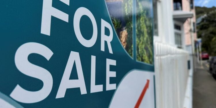 Analysis-New Zealand struggles to regain economic mojo without housing recovery