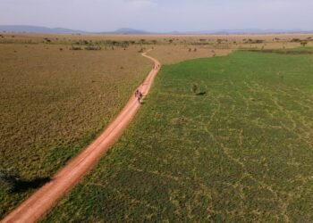 Are Biking Safaris the New Walking Safaris?
