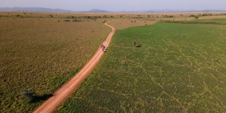 Are Biking Safaris the New Walking Safaris?
