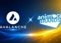 Avalanche gains Animoca Brands backing in push across Asia and the Middle East