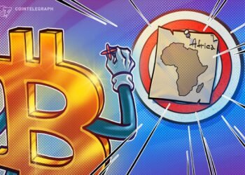 Bitcoin Is ‘Money’ in Parts of Africa, Says Africa Bitcoin Corp Chair