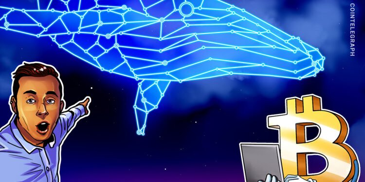 Bitcoin Whales Are Starting To Accumulate Again at $71K: Santiment