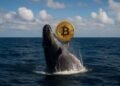 Bitcoin whale awakens after 14 years, sitting on $148 million windfall