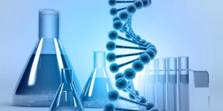 Blackstone raises record $6.3bn life sciences fund