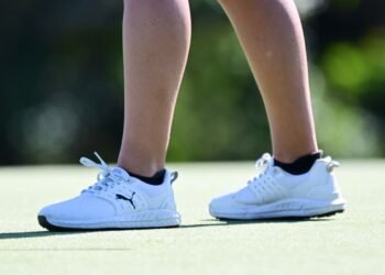 British billionaire’s retail company builds stake in Puma