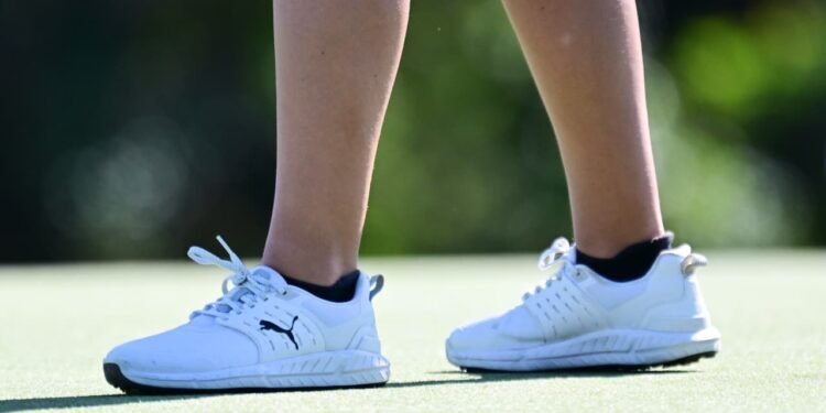 British billionaire’s retail company builds stake in Puma