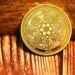 Cardano