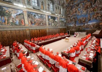 Cardinal found with phone during secret conclave to elect Pope Leo, book says