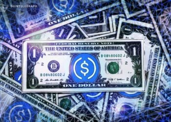 Circle‘s USDC Overtook Tether‘s USDT in Adjusted YTD Volume: Mizuho