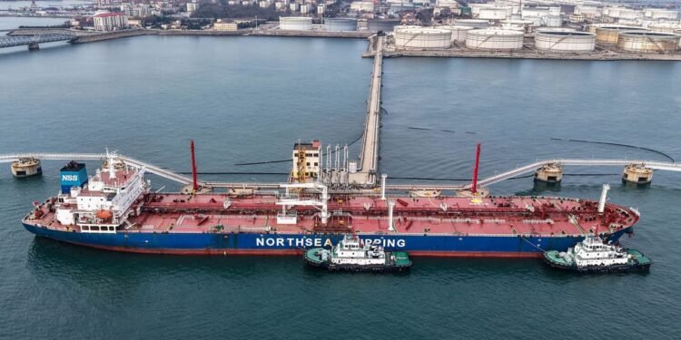 Crude oil is trading like a ‘meme stock,’ these charts show