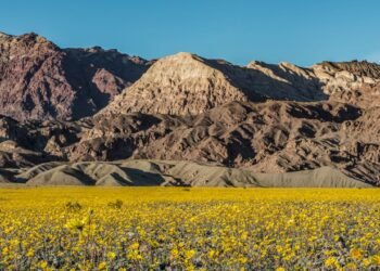 Condé Nast Traveler