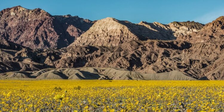 Condé Nast Traveler