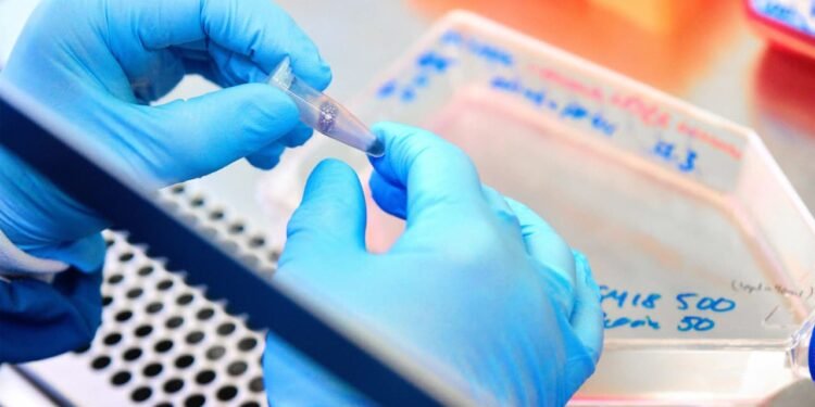 Disappointing weight-loss-drug trial results from Zealand Pharma send shares tumbling