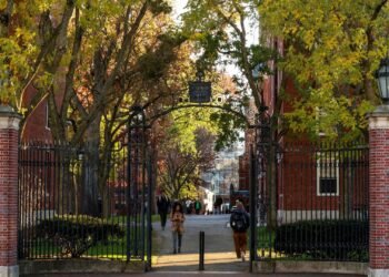Harvard University is the No. 1 dream college: The Princeton Review